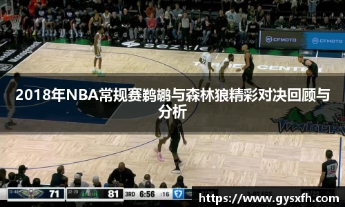 2018年NBA常规赛鹈鹕与森林狼精彩对决回顾与分析